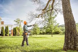 How Our Tree Care Process Works  in  New Market, AL